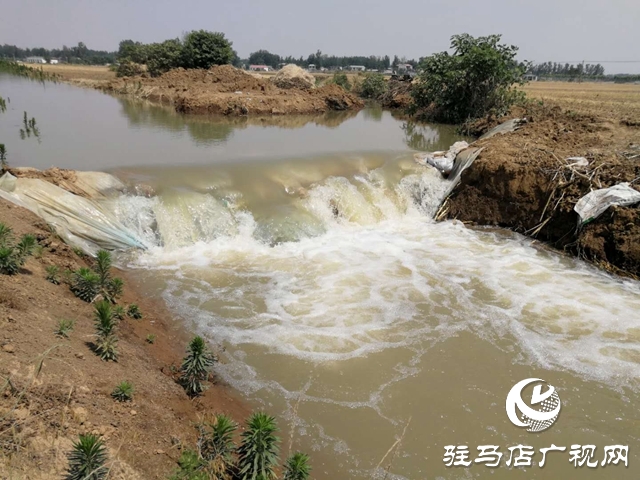 汝南縣邢莊村:筑壩截水、疏通溝渠，抗旱搶種保“三夏”