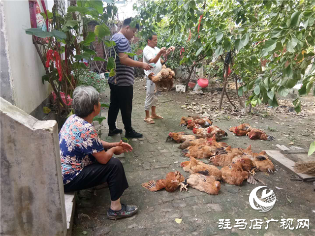 平輿縣玉皇廟鄉(xiāng)：消費(fèi)扶貧月、群眾喜慶季