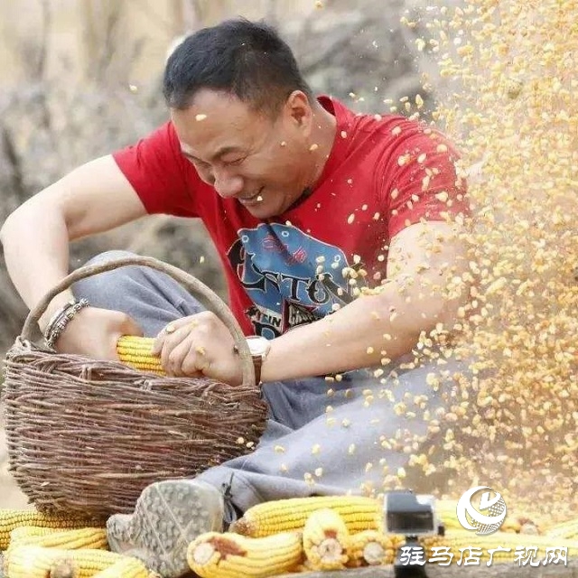 快樂之旅，豐收之行！嵖岈山秋趣豐收歡樂季即將盛大開啟！