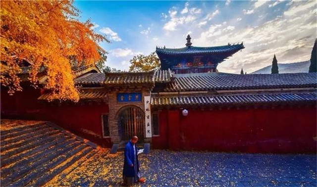 “古剎秋景惹人醉，金色滿園迎賓朋”——嵩山少林寺千年銀杏已到了一年之中最美時節(jié)！