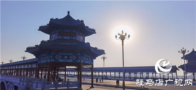 鞭聲陣陣 龍飛陀舞河南駐馬店市驛城區(qū)皇家驛站五市同臺(tái)競(jìng)技展舞姿