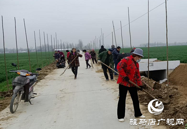 平輿縣玉皇廟鄉(xiāng)：提速?lài)?guó)土綠化 打造美麗鄉(xiāng)村