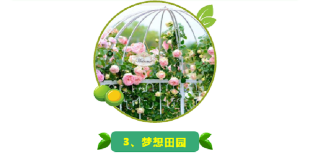 門票免費送！清明小假期就來世外桃源親子農(nóng)場！