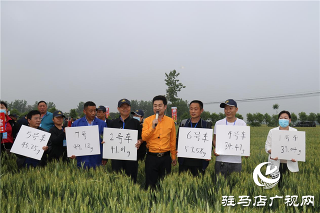 麥?zhǔn)鞂毚笤霎a(chǎn) 中原麥區(qū)論英雄 ——北沃農(nóng)業(yè)2021麥?zhǔn)鞂氂^摩會(huì)勝利召開(kāi)