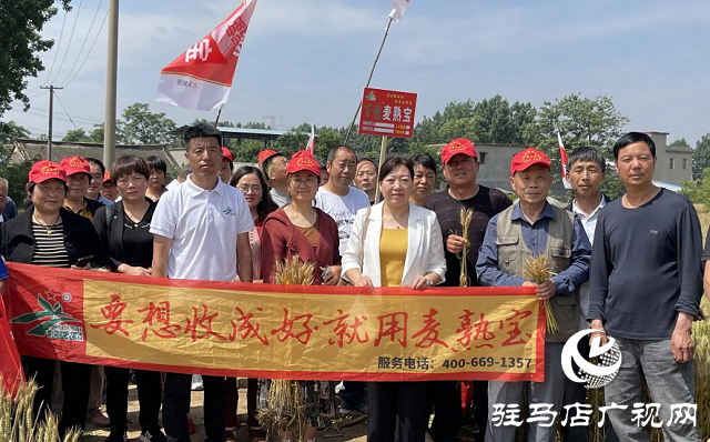 重磅：麥?zhǔn)鞂毐憩F(xiàn)出眾中原麥區(qū)大放異彩  ——北沃農(nóng)業(yè)相繼召開(kāi)麥?zhǔn)鞂氂^摩