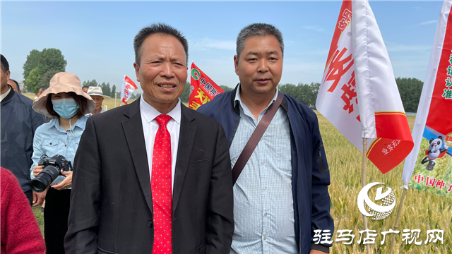 重磅：麥?zhǔn)鞂毐憩F(xiàn)出眾中原麥區(qū)大放異彩  ——北沃農(nóng)業(yè)相繼召開(kāi)麥?zhǔn)鞂氂^摩
