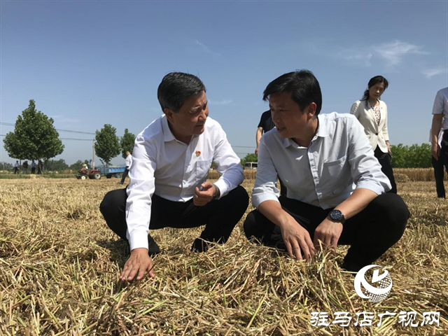 副省長武國定調(diào)研駐馬店三夏生產(chǎn)