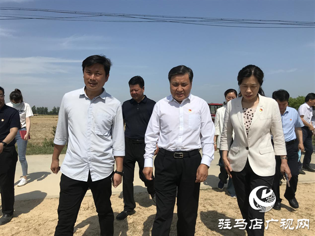 副省長武國定調(diào)研駐馬店三夏生產(chǎn)