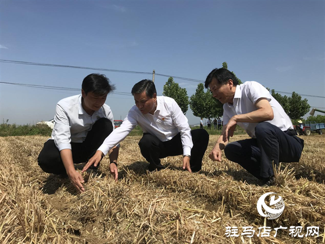 副省長武國定調(diào)研駐馬店三夏生產(chǎn)