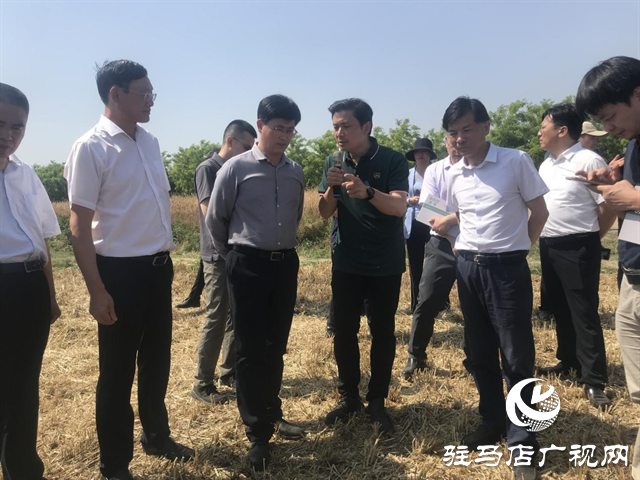 農(nóng)業(yè)農(nóng)村部農(nóng)機(jī)化司副司長王甲云一行督導(dǎo)小麥機(jī)收和機(jī)收減損工作
