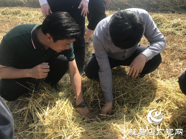 農(nóng)業(yè)農(nóng)村部農(nóng)機(jī)化司副司長王甲云一行督導(dǎo)小麥機(jī)收和機(jī)收減損工作