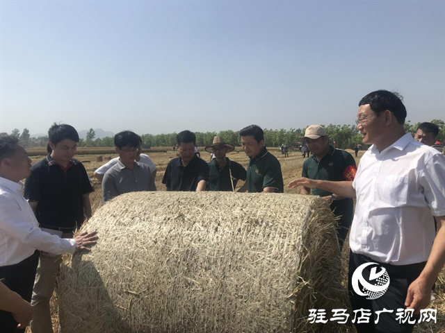 農(nóng)業(yè)農(nóng)村部農(nóng)機(jī)化司副司長王甲云一行督導(dǎo)小麥機(jī)收和機(jī)收減損工作