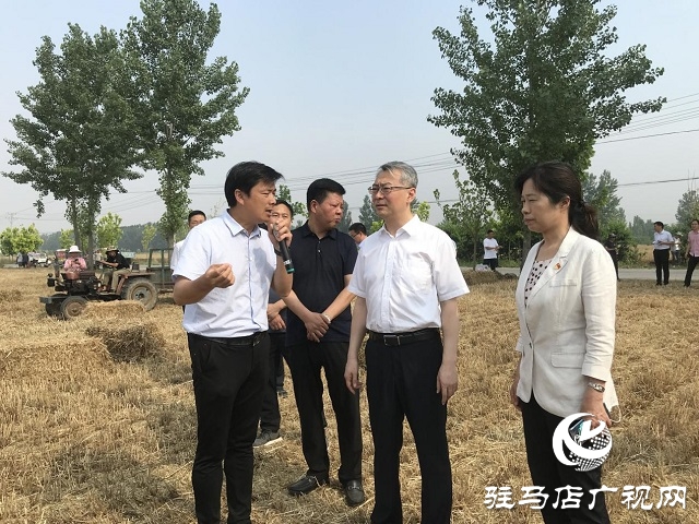 駐馬店市委副書(shū)記王振利調(diào)研遂平縣“三夏”生產(chǎn)工作