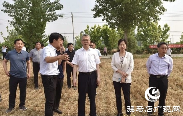 駐馬店市委副書(shū)記王振利調(diào)研遂平縣“三夏”生產(chǎn)工作
