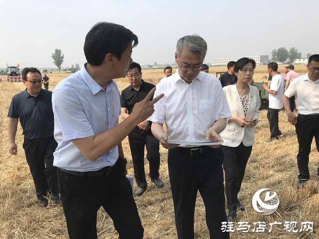 駐馬店市委副書(shū)記王振利調(diào)研遂平縣“三夏”生產(chǎn)工作