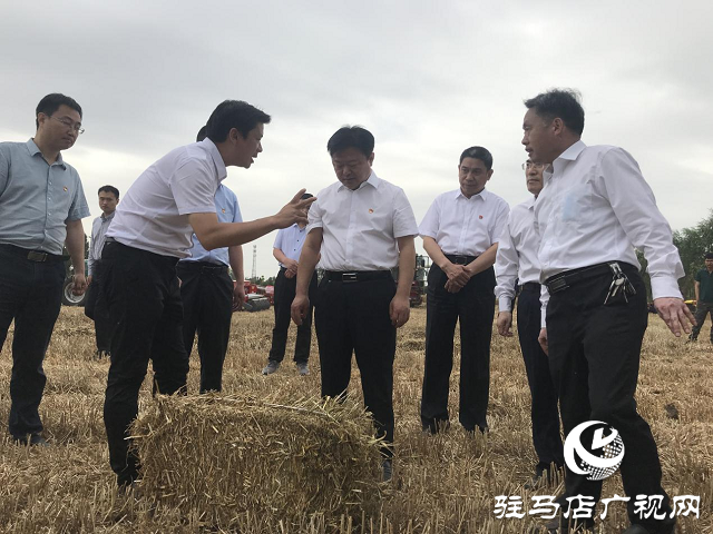 河南省副省長陳星深入驛城區(qū)調(diào)研指導“三夏”工作
