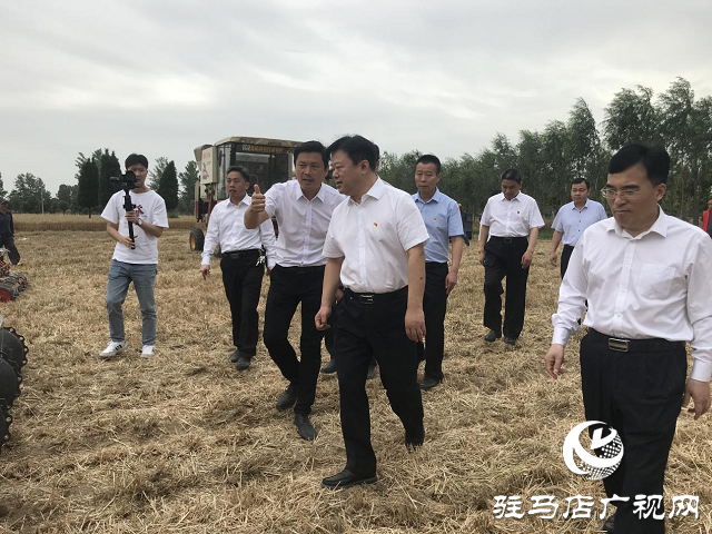 河南省副省長陳星深入驛城區(qū)調(diào)研指導“三夏”工作
