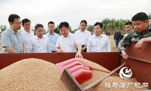 河南省副省長陳星深入驛城區(qū)調(diào)研指導“三夏”工作