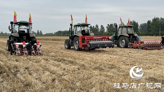 河南省副省長陳星深入驛城區(qū)調(diào)研指導“三夏”工作