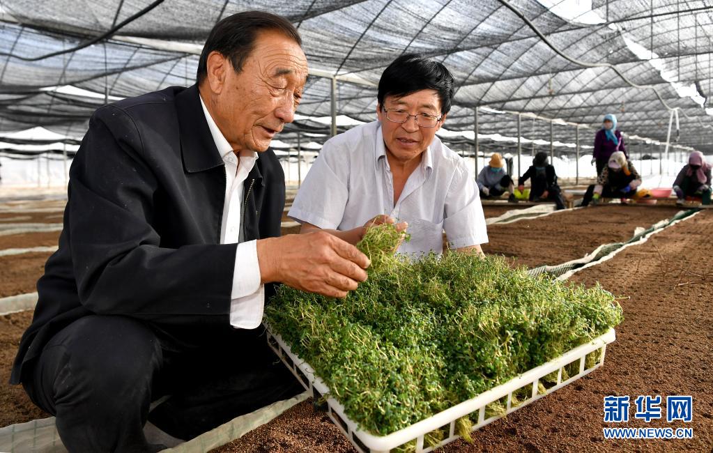 奮斗百年路 啟航新征程·“七一勛章”獲得者｜治沙英雄石光銀：干成治沙一件事，就算沒白活
