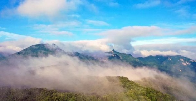 “市”外有桃園，宜陽花果山，遛娃首選點(diǎn)