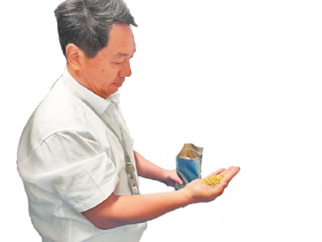 洛陽農(nóng)林科學院旱地麥種質(zhì)資源庫 讓小麥像沙漠植物一樣抗旱耐熱