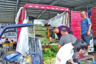 防汛救災(zāi)進行時·人民至上｜蔬菜貨源充足，價格正常暴雨后的“菜籃子”被托得很穩(wěn)