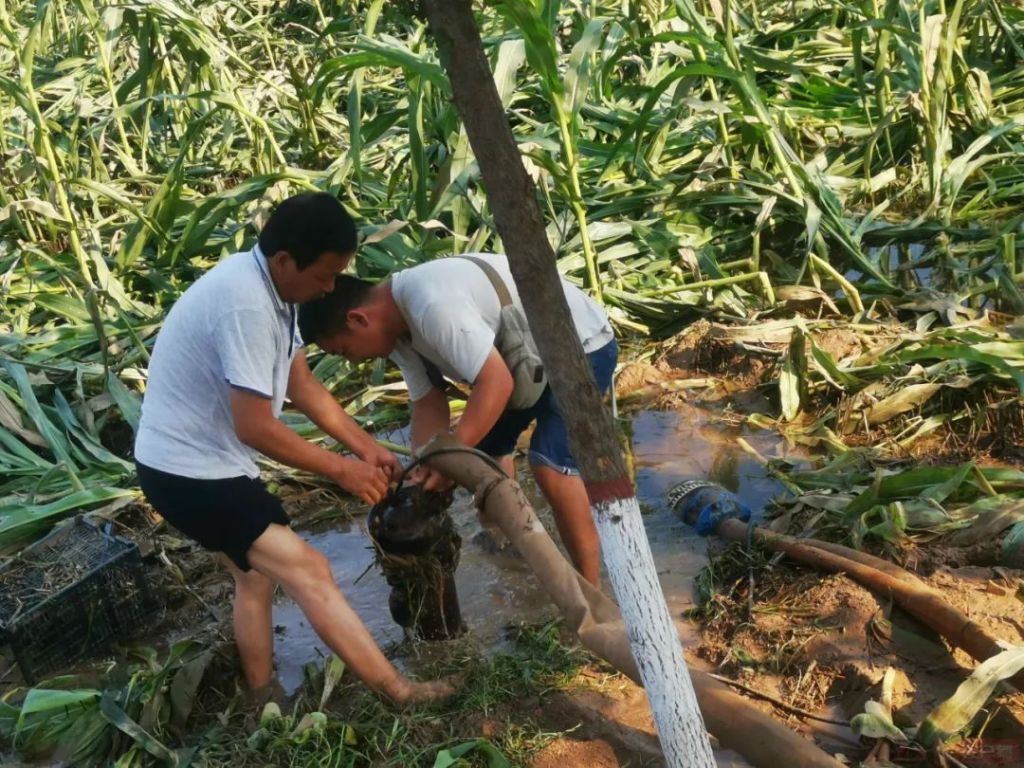 河南：汛情過后，科技支撐恢復農(nóng)業(yè)生產(chǎn)