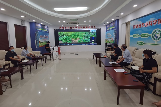 河南：云端“診斷”開“處方”，災(zāi)后復(fù)產(chǎn)技術(shù)到田間