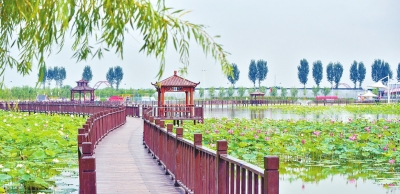 河南這些鄉(xiāng)村有了大變化！ 產(chǎn)業(yè)興、農(nóng)村美、農(nóng)民富的美麗畫卷正徐徐展開
