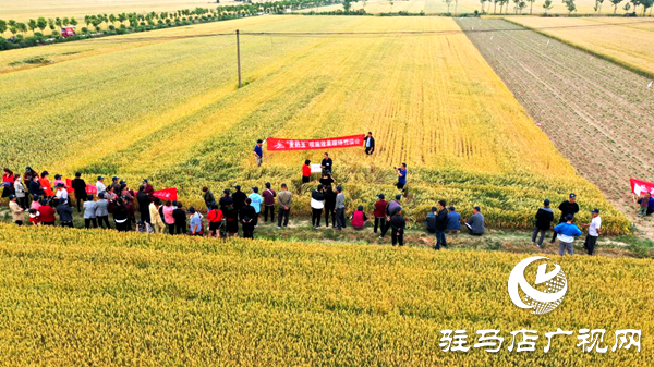 重磅！麥熟寶，驚艷亮相！2020年北沃農(nóng)業(yè)再出大招！