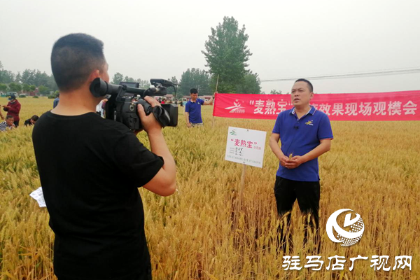 重磅！麥熟寶，驚艷亮相！2020年北沃農(nóng)業(yè)再出大招！