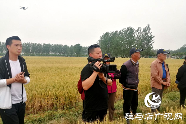 重磅！麥熟寶，驚艷亮相！2020年北沃農(nóng)業(yè)再出大招！