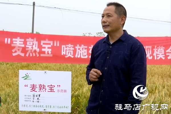 重磅！麥熟寶，驚艷亮相！2020年北沃農(nóng)業(yè)再出大招！