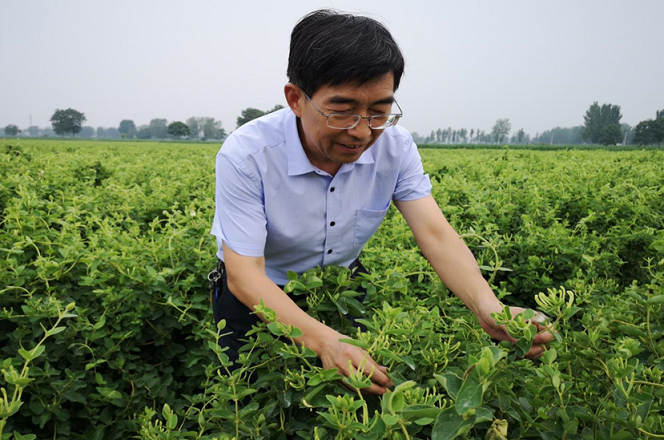 強(qiáng)國(guó)有我丨河南科普專家科技助農(nóng)：一定要為農(nóng)民解決問(wèn)題