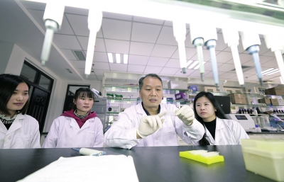 探秘省部共建小麥玉米作物學國家重點實驗室