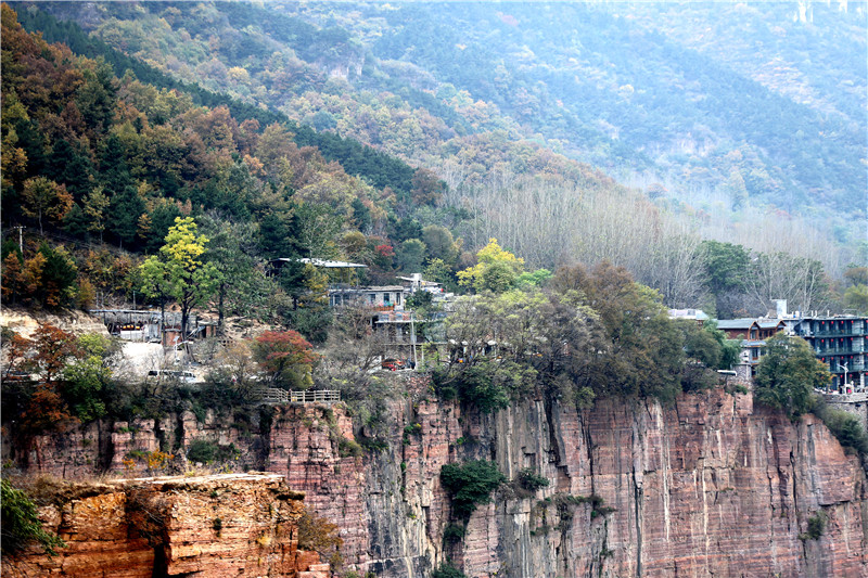 “一年好景君須記，最是橙黃橘綠時(shí)”