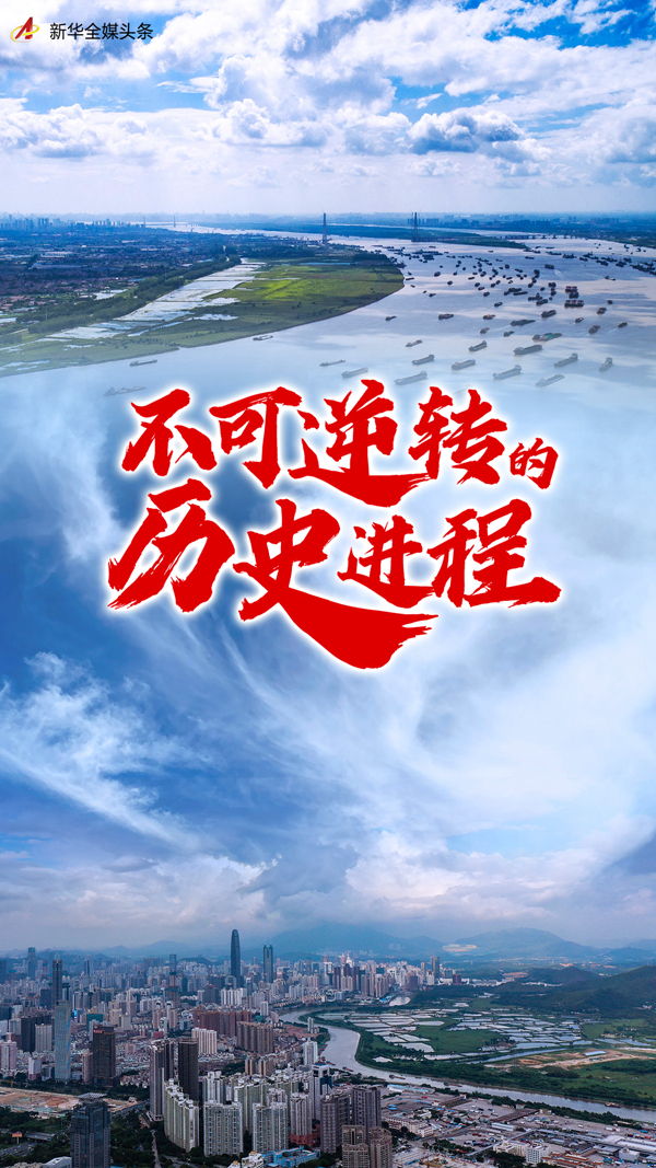 不可逆轉(zhuǎn)的歷史進(jìn)程——從以習(xí)近平同志為核心的黨中央引領(lǐng)新時代變革性實踐看實現(xiàn)中華民族偉大復(fù)興