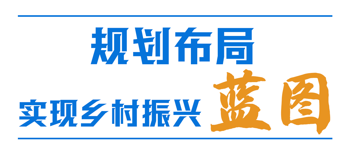 習近平心中的“三農(nóng)”畫卷