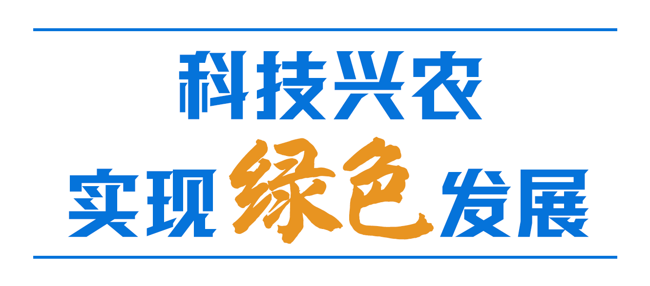 習近平心中的“三農(nóng)”畫卷