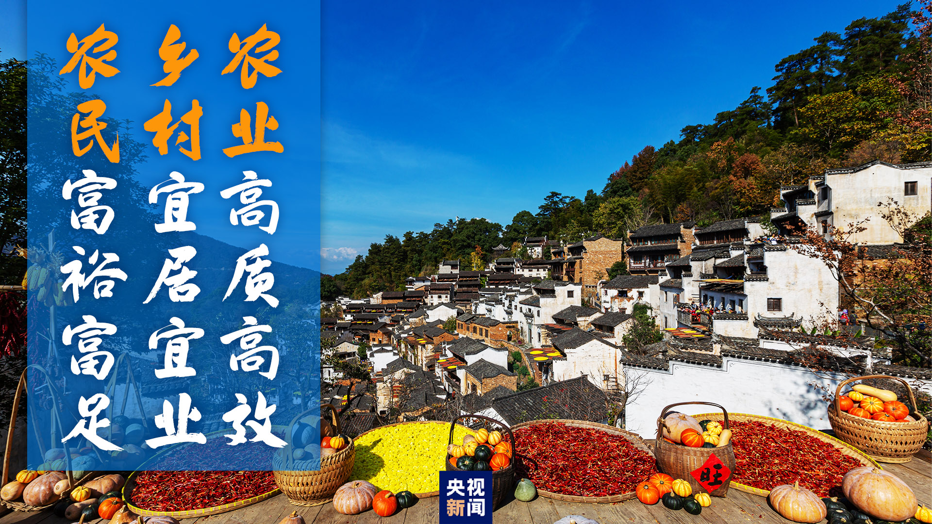 習近平心中的“三農(nóng)”畫卷