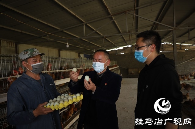 駐馬店驛城區(qū)：多產(chǎn)穩(wěn)增收 拓展致富路
