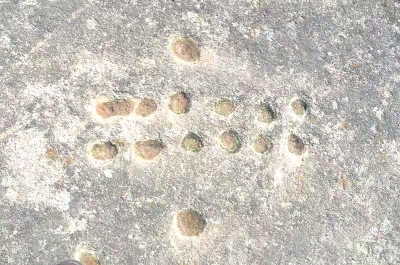 南陽發(fā)現(xiàn)遠古文明大量遺址遺跡的歷史定位及其時代價值探析
