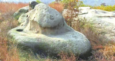 南陽發(fā)現(xiàn)遠古文明大量遺址遺跡的歷史定位及其時代價值探析