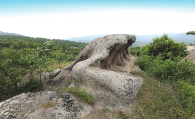 南陽發(fā)現(xiàn)遠古文明大量遺址遺跡的歷史定位及其時代價值探析