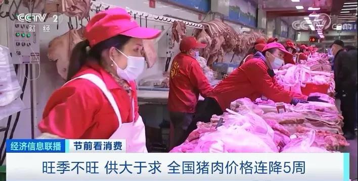 春節(jié)倒計時豬肉價格連降5周！旺季不旺咋回事？