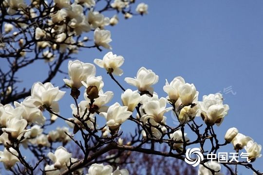 注意！冷空氣來了，部分地區(qū)降溫可達(dá)12℃以上