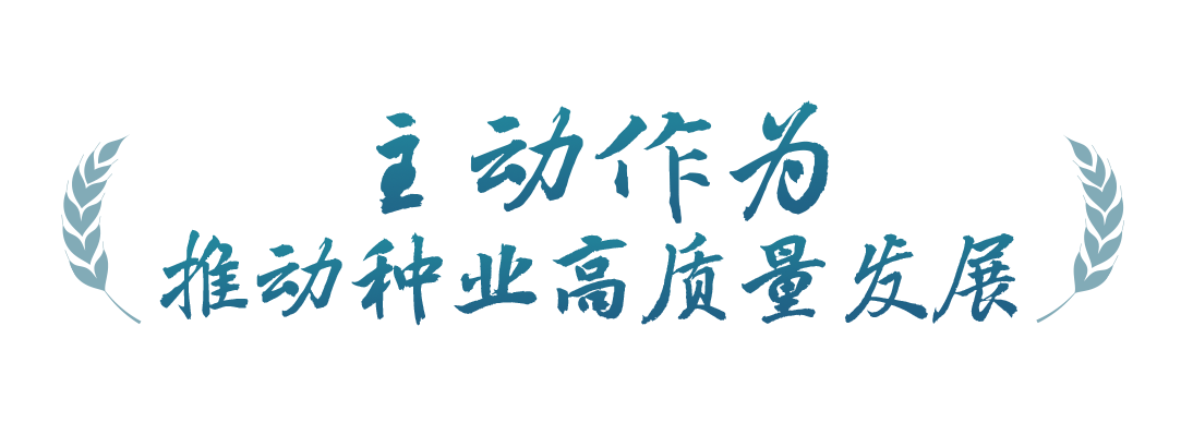 春事看農(nóng)桑丨播下好種子，豐收有底氣
