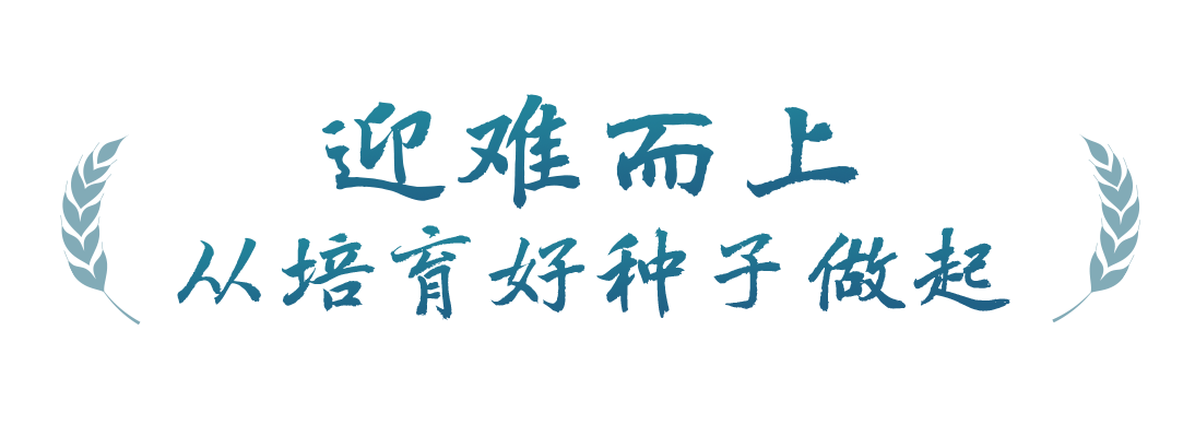 春事看農(nóng)桑丨播下好種子，豐收有底氣