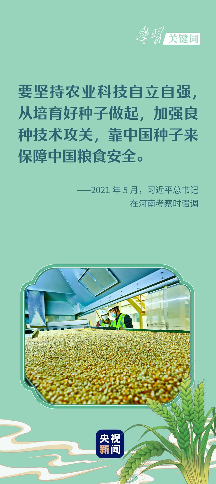 春事看農(nóng)桑丨播下好種子，豐收有底氣